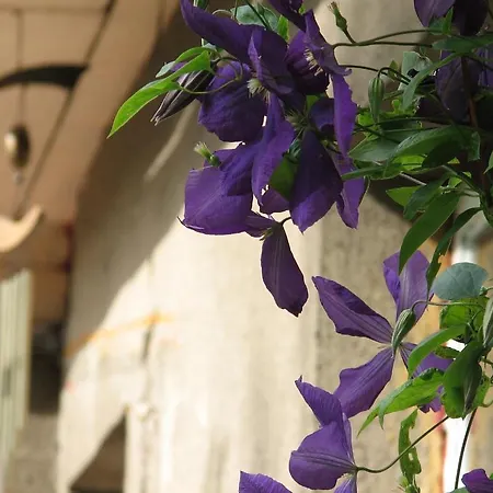 Kaevu House بيت للعطل *