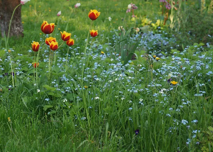 Kaevu House بارنو