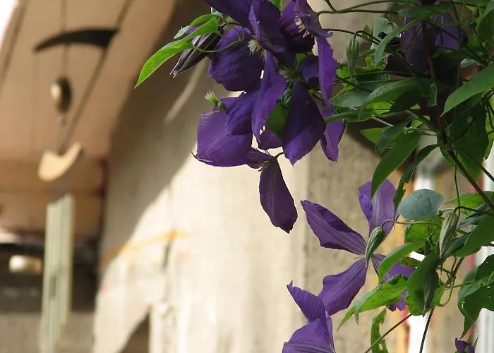 Kaevu House بيت للعطل *